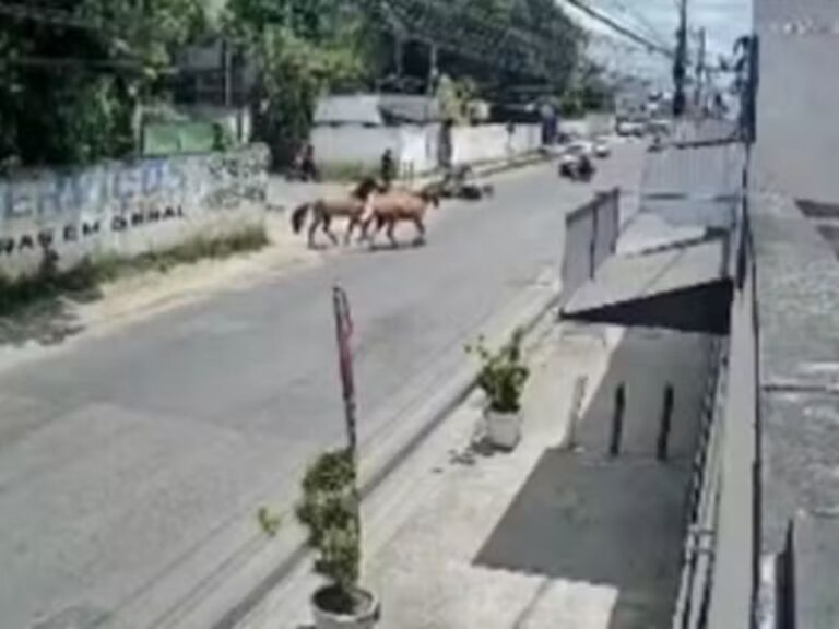 Vídeo: motociclista fica ferido após ser atropelado por cavalos