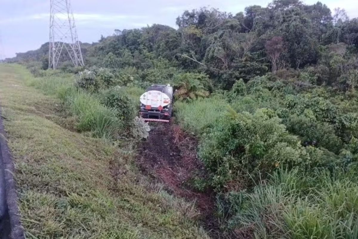 caminhao-cai-em-barranco-apos-motorista-se-assustar-com-besouro