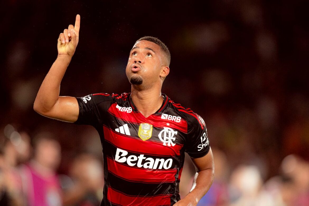 flamengo-tira-onda-com-o-palmeiras-apos-novo-titulo:-“vice-de-novo”