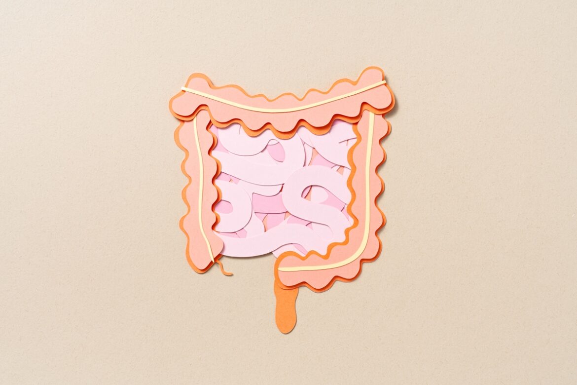 intestino-tira-ferias?-por-que-viajar-costuma-causar-prisao-de-ventre