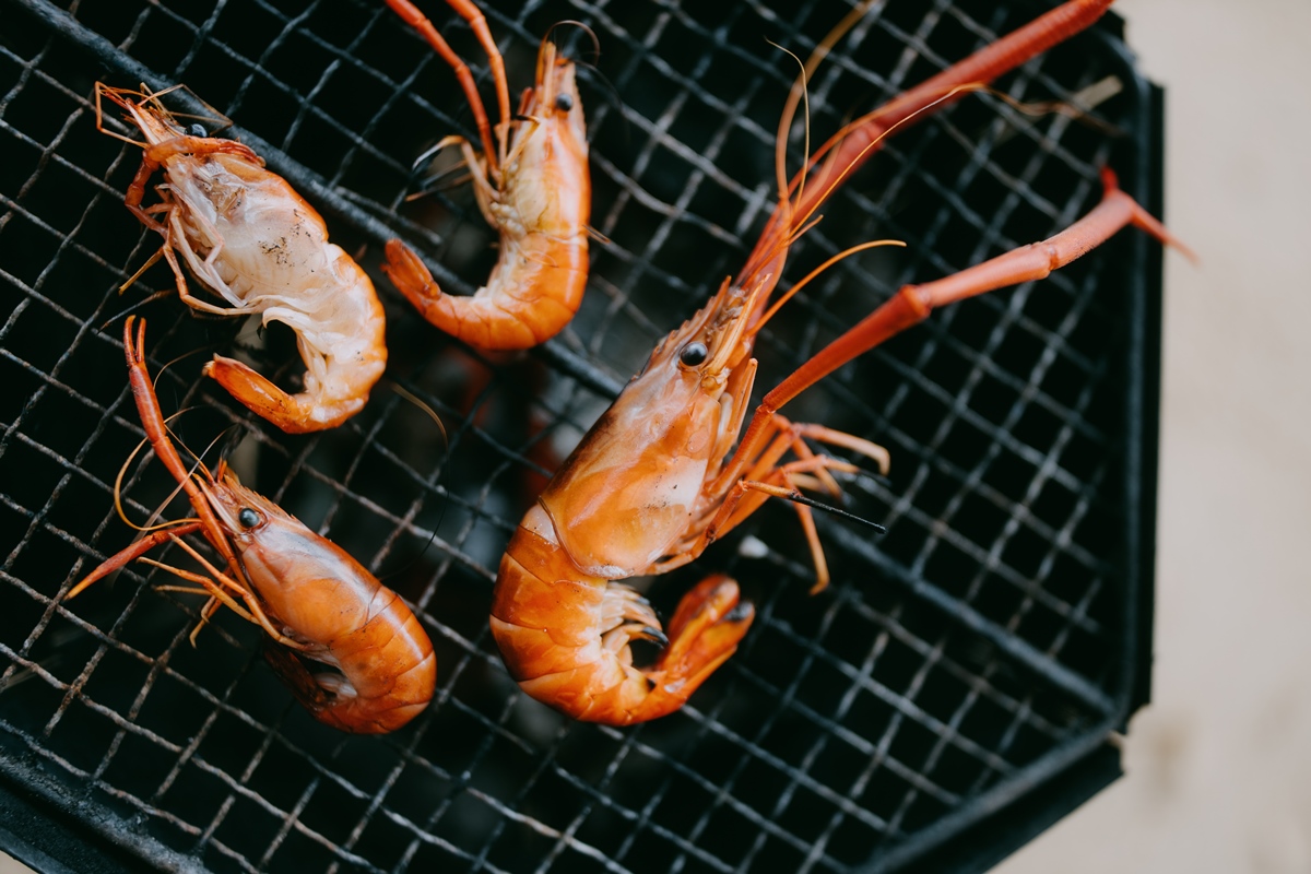 camaroes-e-lagostas-sentem-dor-ao-serem-cozidos-vivos,-afirma-artigo