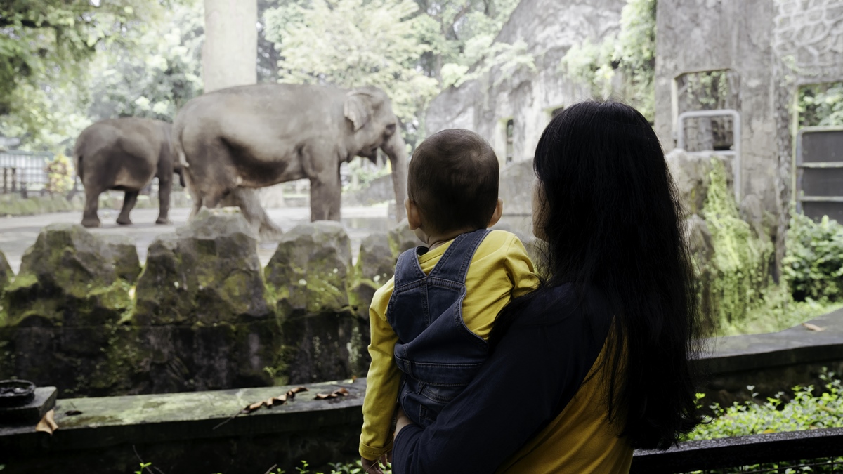 zoologico:-saiba-como-passear-em-seguranca-e-respeitar-os-animais