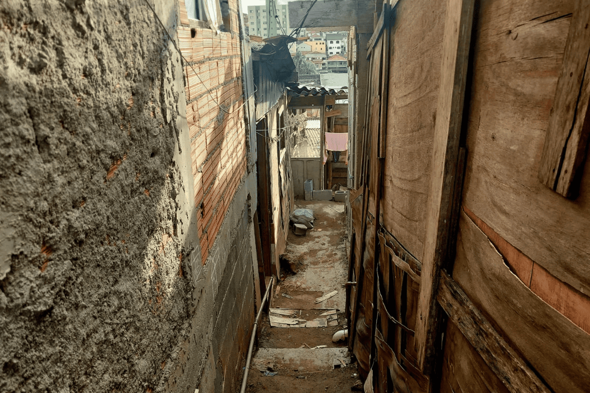 ibge:-60%-dos-moradores-de-favelas-vivem-em-locais-sem-arborizacao