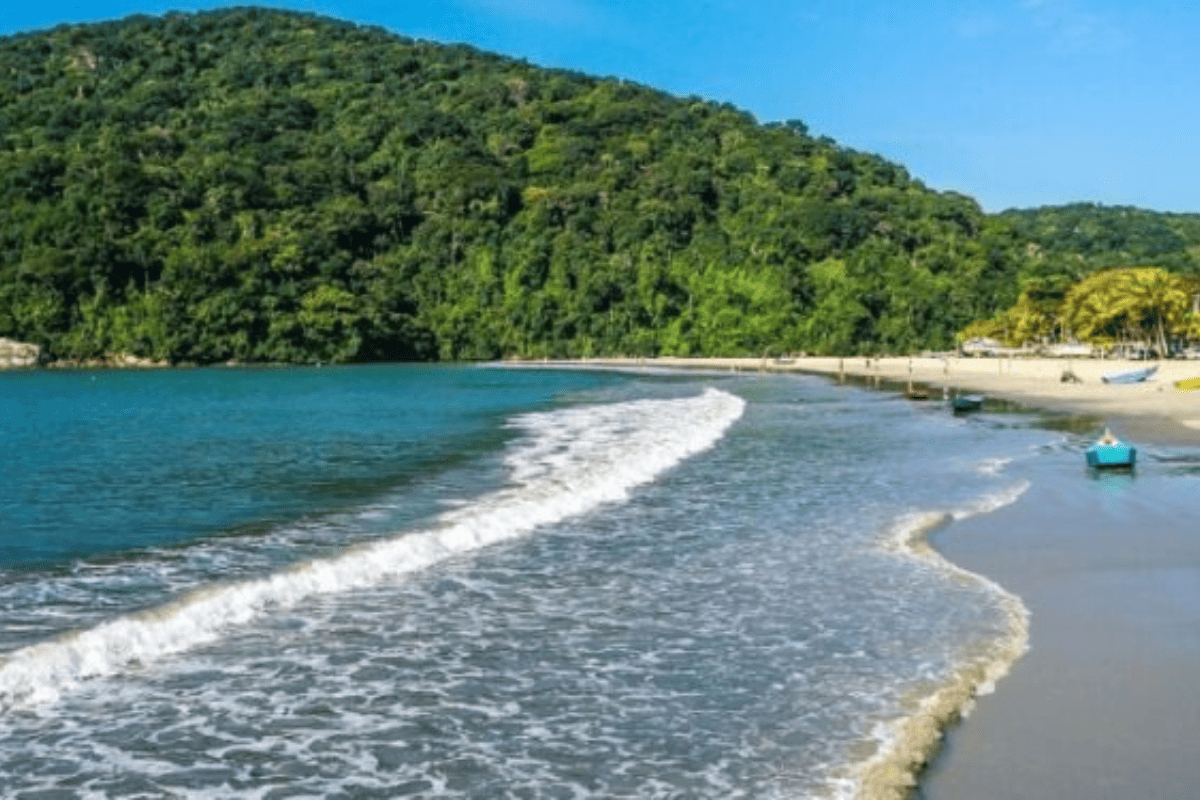 ano-todo-poluida,-praia-de-sp-nao-afasta-turistas.-saiba-qual