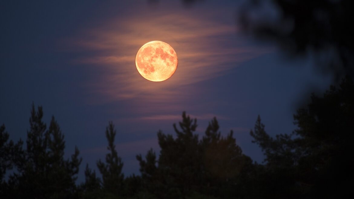 para-todos-os-signos:-o-que-esperar-da-ultima-lua-cheia-do-ano