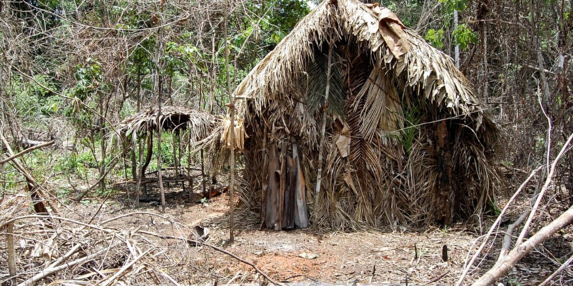 dpu-afirma-que-consulta-previa-nao-se-aplica-a-indigenas-isolados
