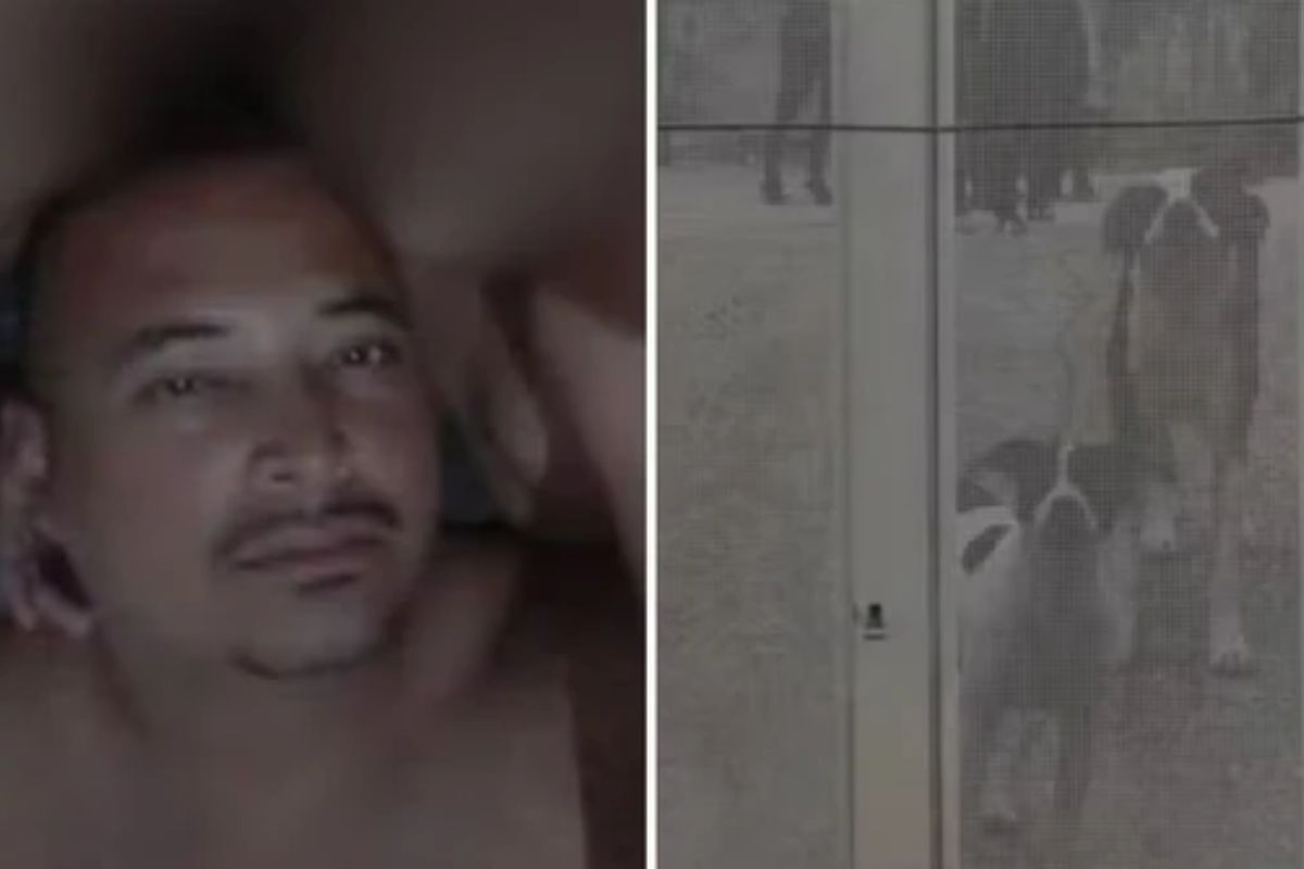 ambulante-morre-apos-ser-atacado-por-10-caes-dentro-de-chacara