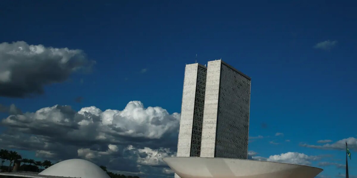 camara-tem-baixa-atuacao-em-pautas-de-igualdade-racial,-diz-pesquisa