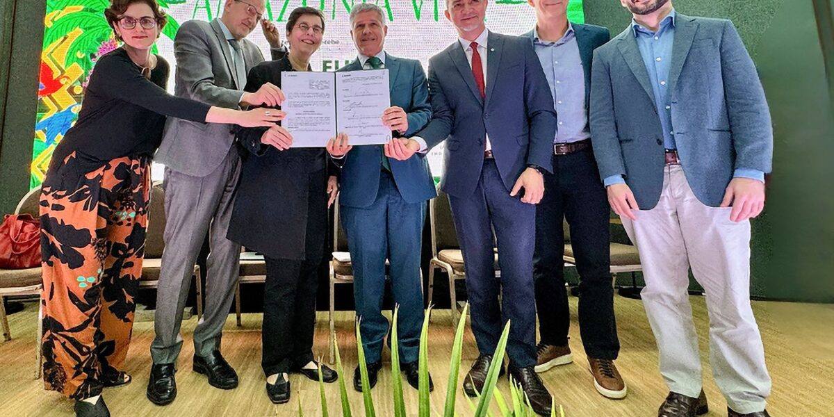 fundo-amazonia:-cadeias-produtivas-de florestas-terao r$-96,6-milhoes