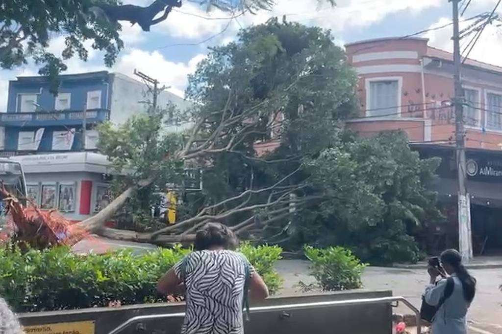 ciclone-extratropical-causa-ventos-de-ate-82-km/h,-quedas-de-arvores-e-738-mil-imoveis-sem-energia-em-sp