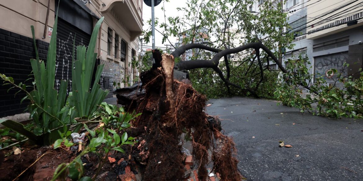 sao-paulo-enfrenta-ventos-de-quase-100-km/h-nesta-quarta-feira
