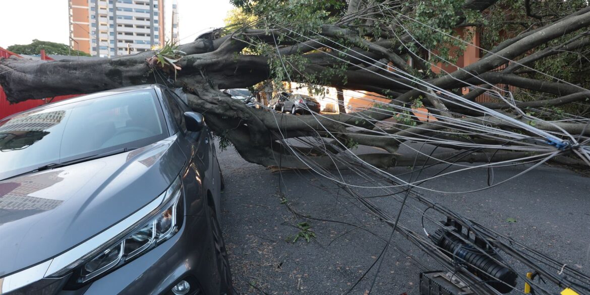 sao-paulo-e-capitais-do-sul-terao-ventos-moderados-nesta-quinta-feira