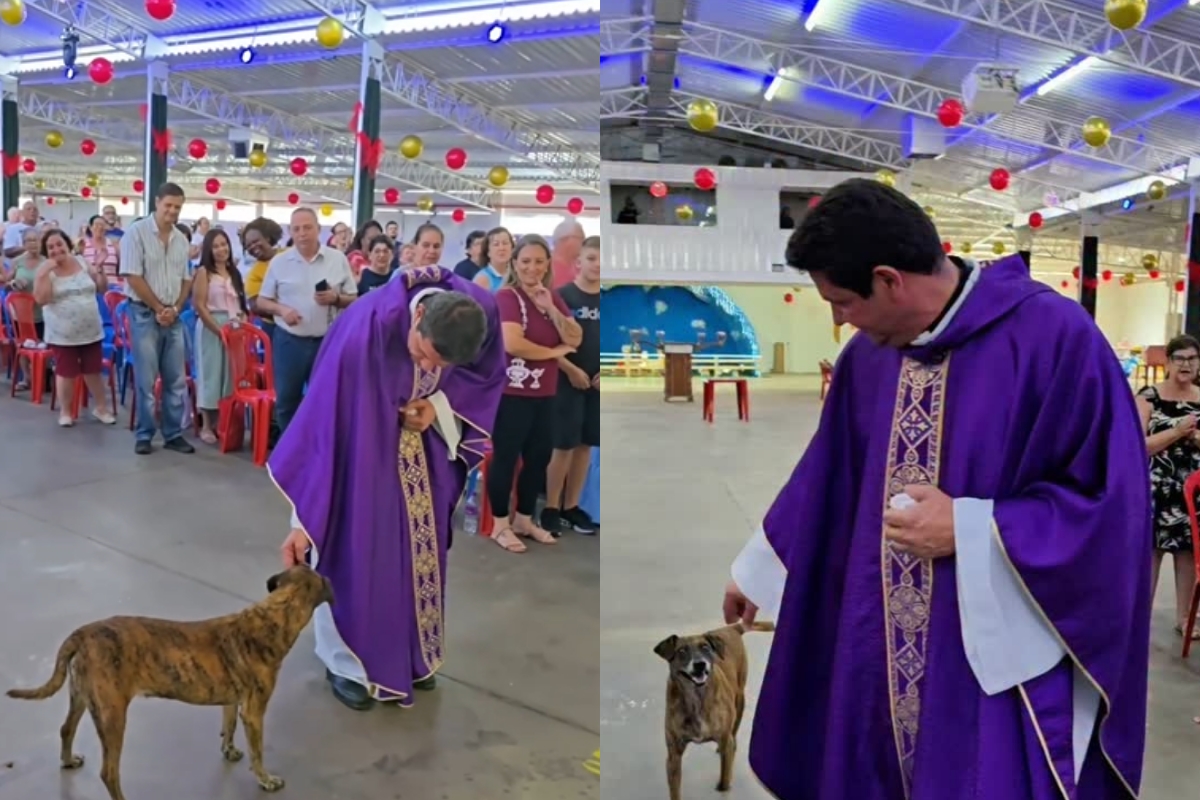 cachorro-entra-com-padre-em-missa-e-derrete-a-web;-veja-video