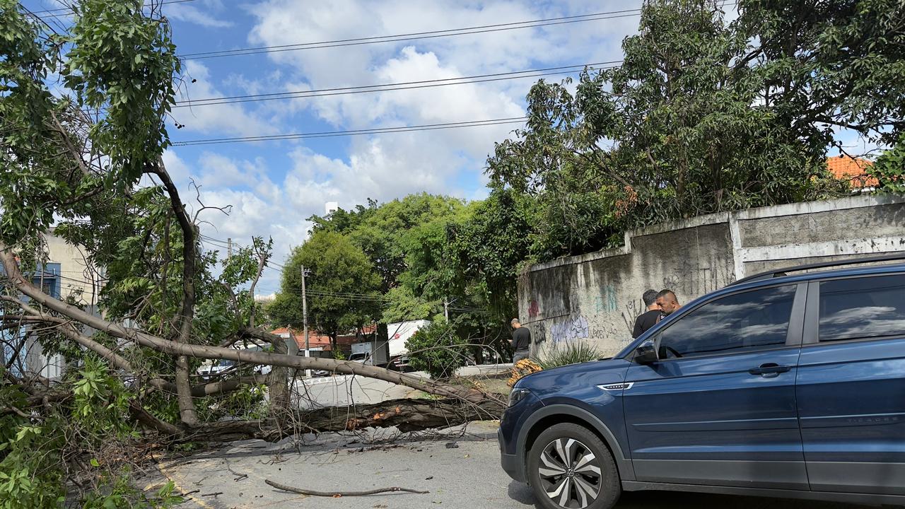 São Paulo registra primeira morte causada por ventania