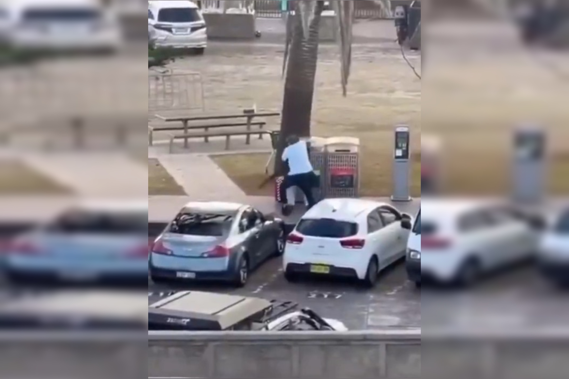 australia:-tiroteio-deixou-12-mortos-e-29-feridos,-incluindo-policiais