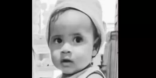 crianca-de-2-anos-morre-apos-ataque-de-abelhas