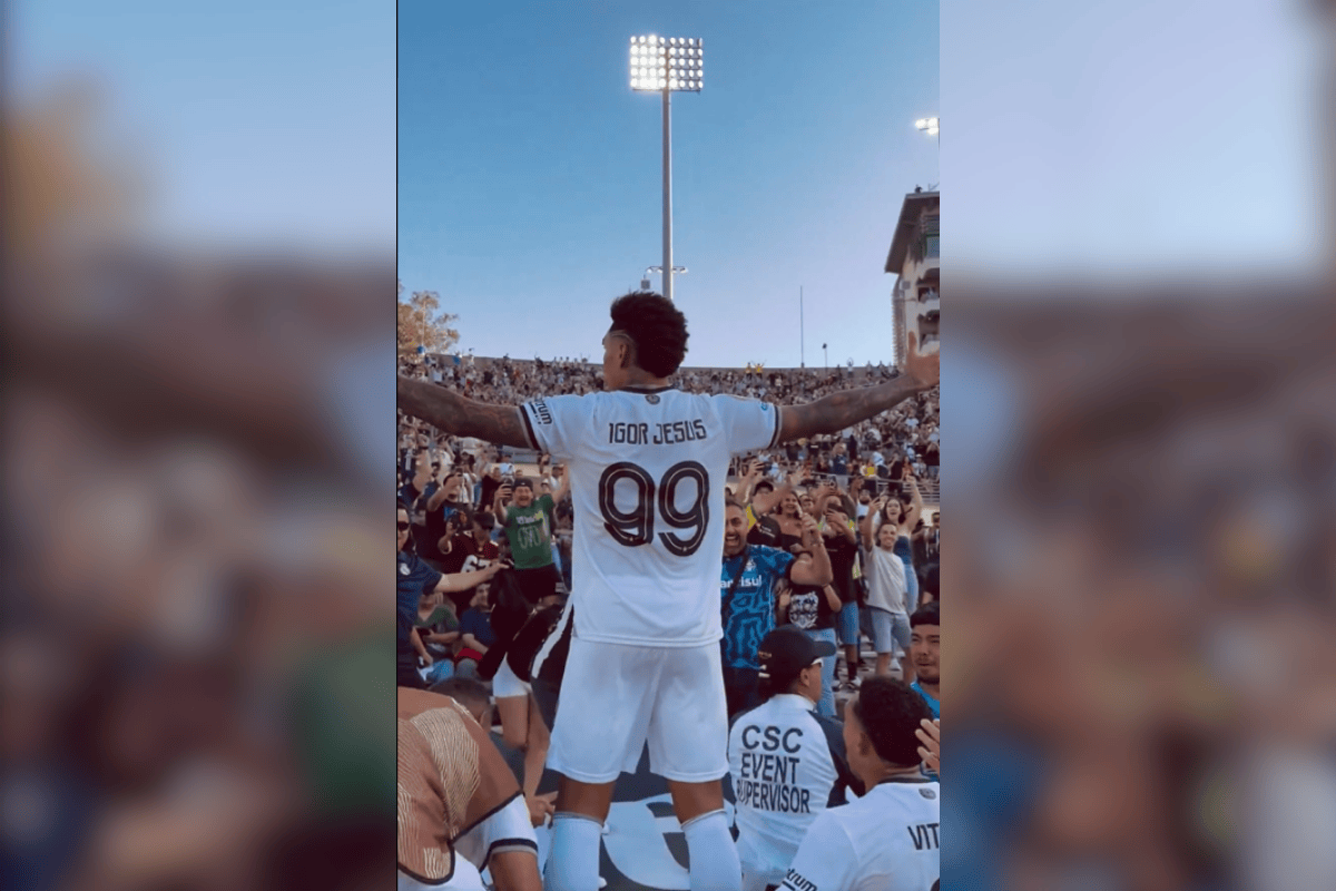 botafogo-provoca-flamengo-apos-derrota-na-copa-intercontinental;-veja