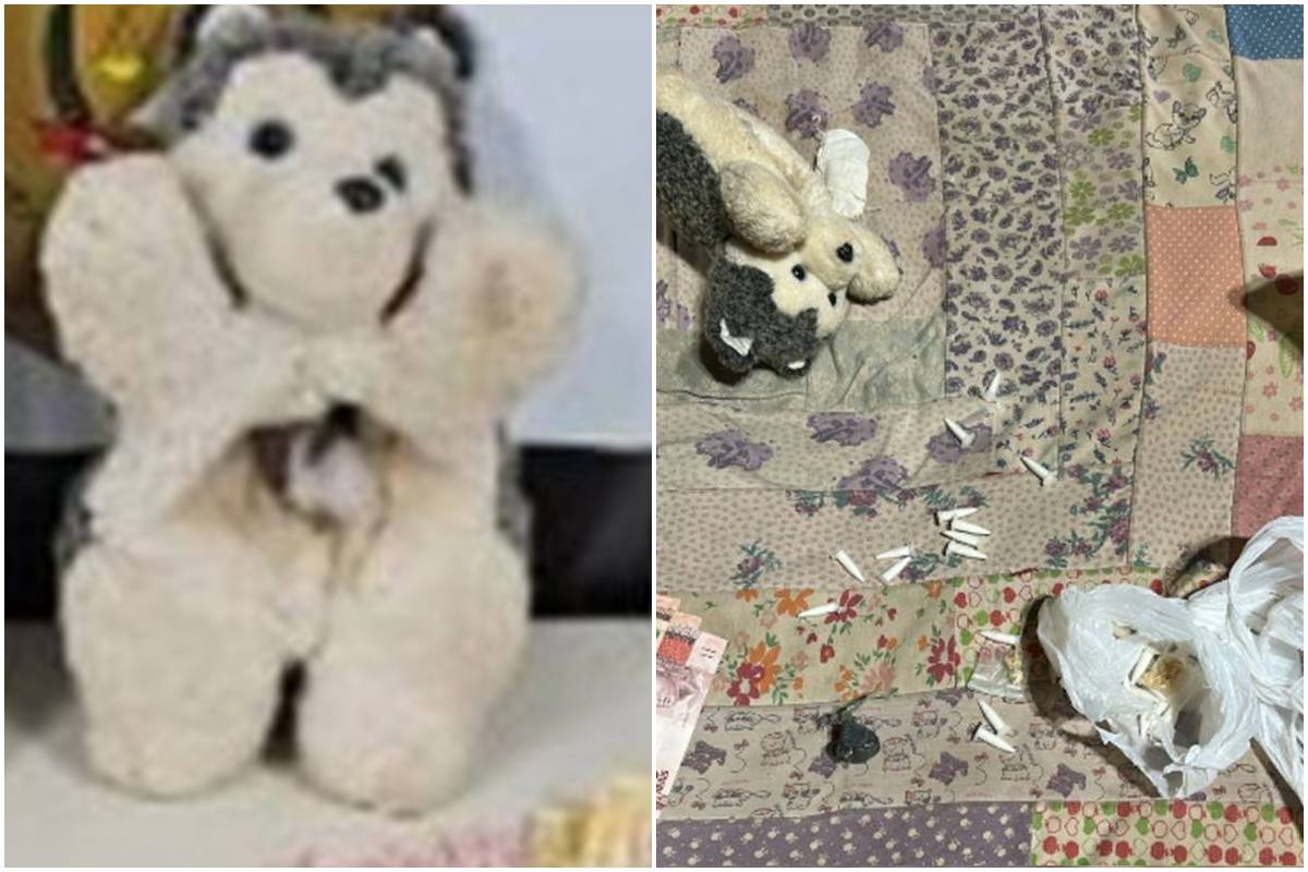 bom-dia-pcdf:-casal-de-traficantes-usou-urso-de-pelucia-para-ocultar-po