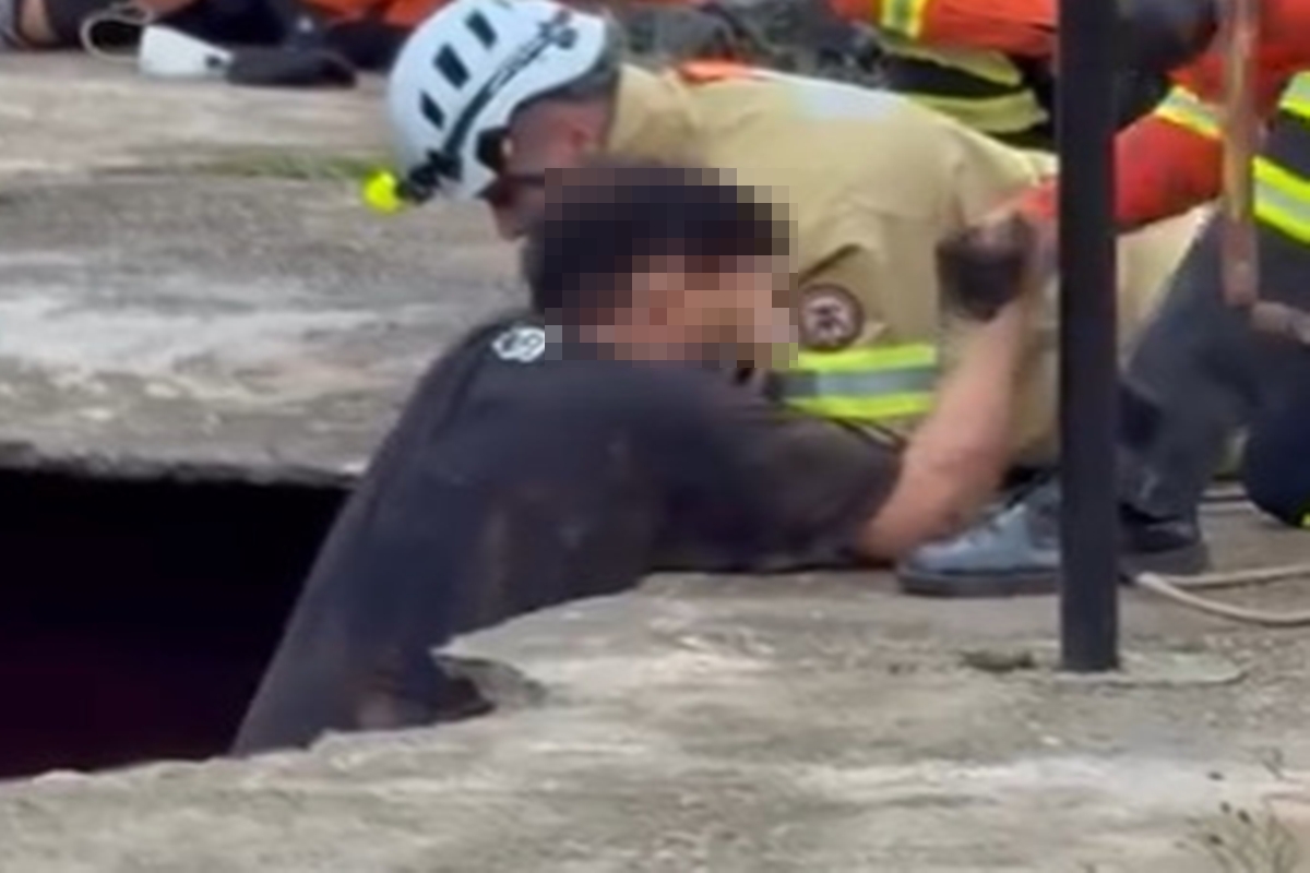 cbmdf-usa-escada-e-corda-para-retirar-irmaos-e-pit-bulls-de-cratera