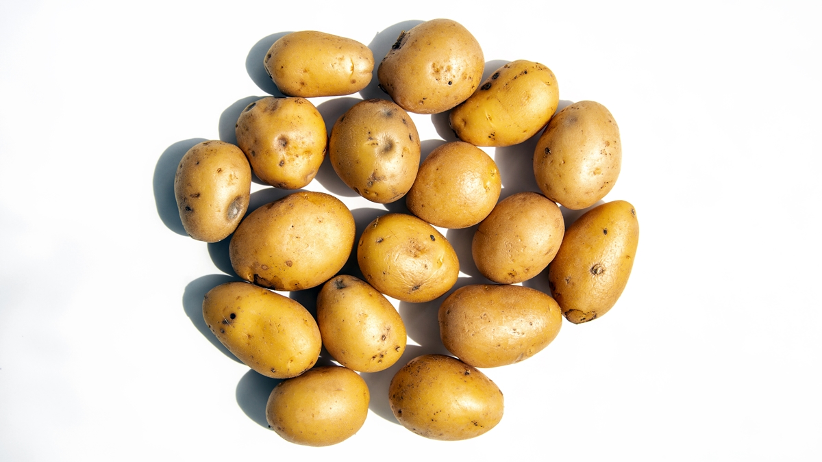 batatinha-em-conserva:-como-fazer-o-petisco-perfeito-para-o-natal