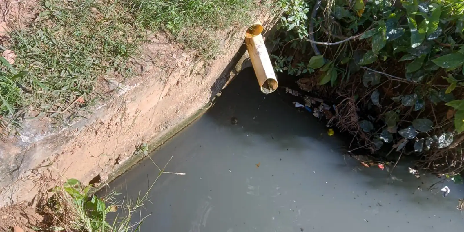 quilombo-em-cabo-frio-denuncia-despejo-de-esgoto-na-comunidade