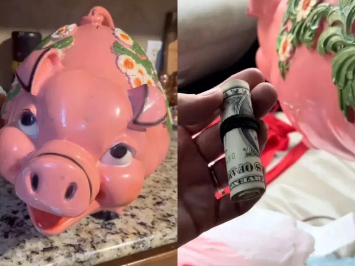 mulher-compra-cofrinho-em-brecho-e-leva-mais-de-r$-10-mil-pra-casa