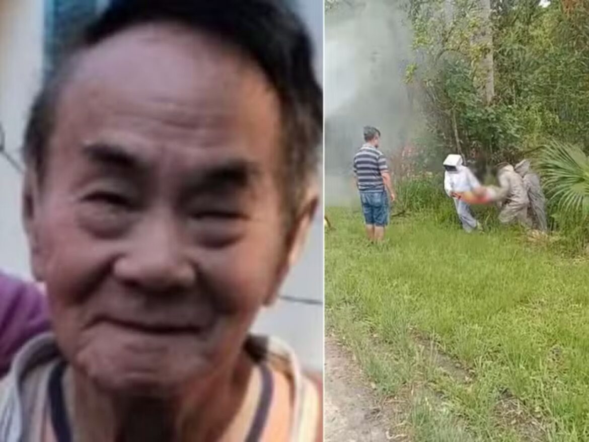 idoso-morre-apos-ser-atacado-por-enxame-de-abelhas