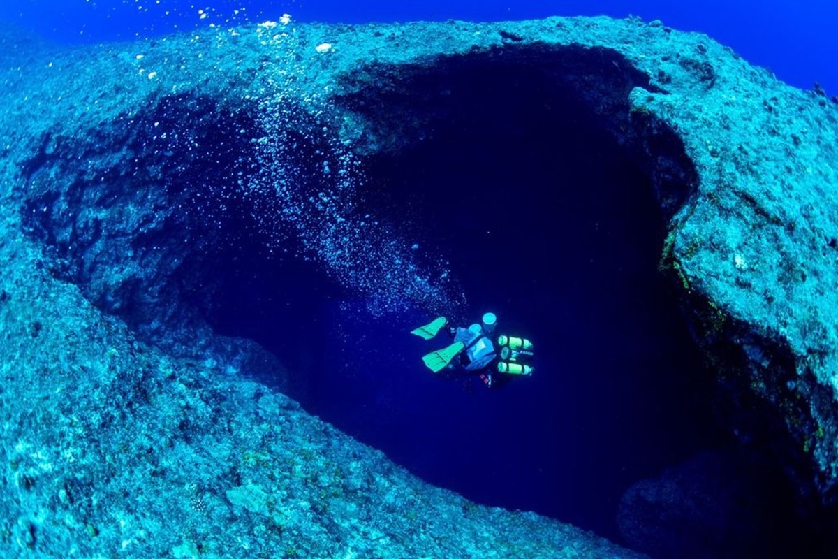 cientistas-encontram-20-novas-especies-no-oceano-pacifico.-veja-fotos