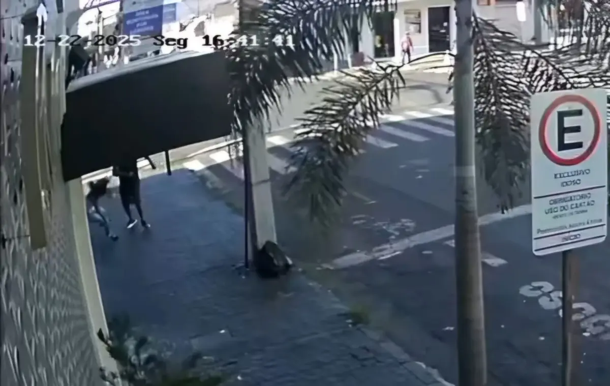 mulher-e-assaltada-e-leva-soco-na-cara-ao-reagir