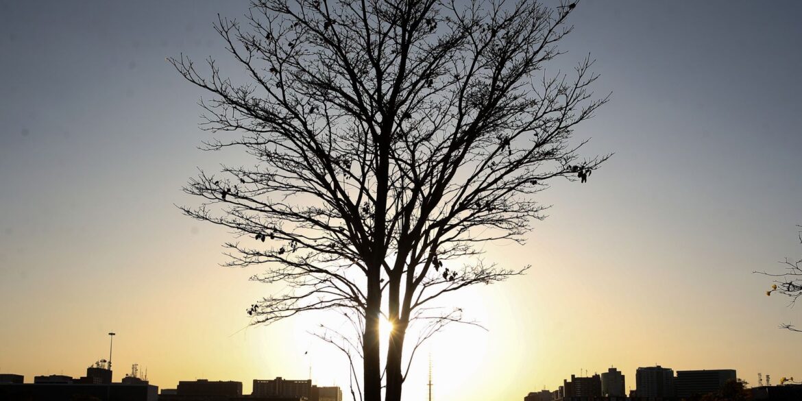 duas-pesquisadoras-da-uerj-participam-do-seleto-grupo-do-ipcc-da-onu