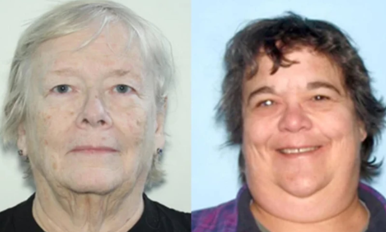 mulheres-sao-procuradas-apos-corpos-serem-encontrados-em-geladeiras