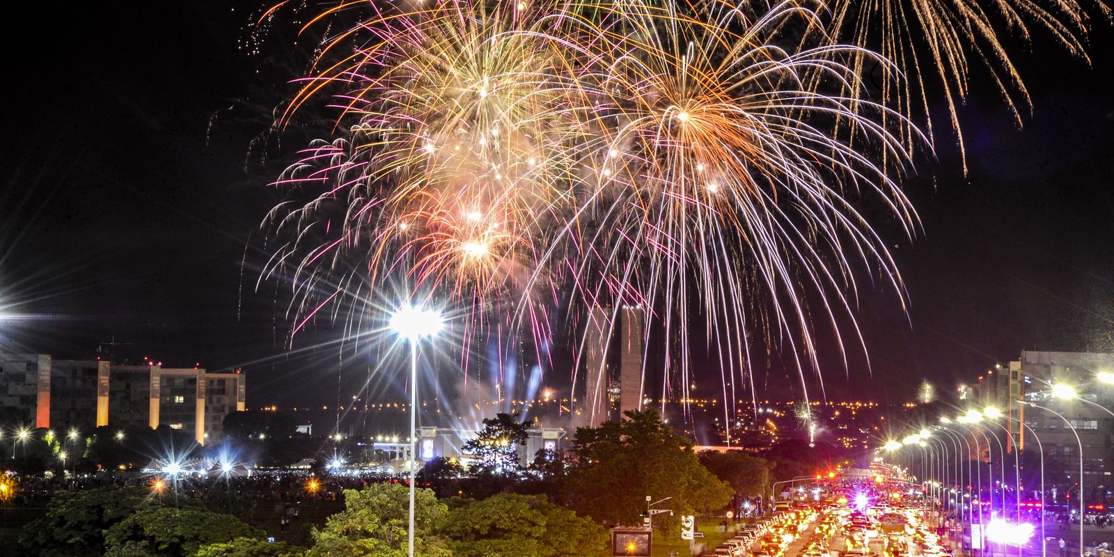 fogos-de-artificios-com-estampido-sao-risco-para-animais-e-pessoas