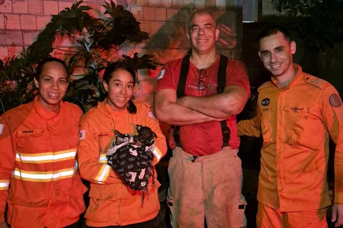 filhote-de-cachorro-e-resgatado-apos-cair-em-cisterna-no-df