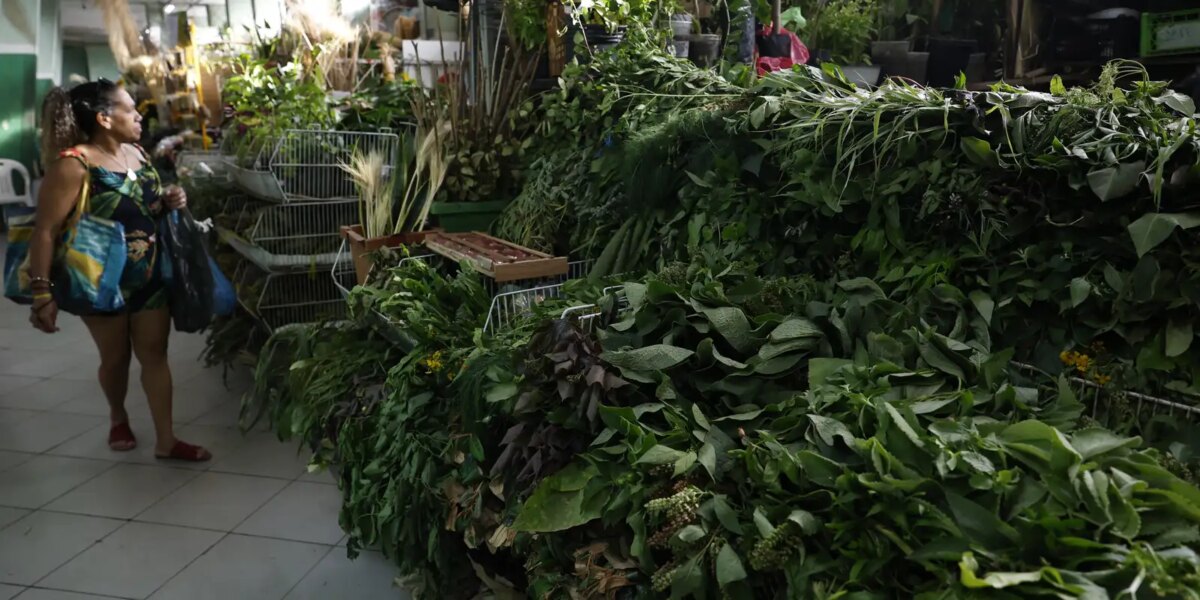 erveiras-se-atualizam-para-atender-a-novas-tradicoes-de-religioes-afro