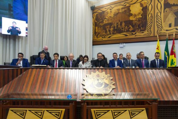 WhatsApp Image 2025-12-11 at 11.18.29