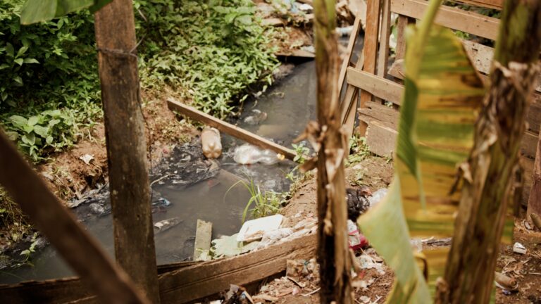 Parque Mamédio Bittar: documentário do ContilNet expõe esgoto, doenças e descaso em Sena Madureira