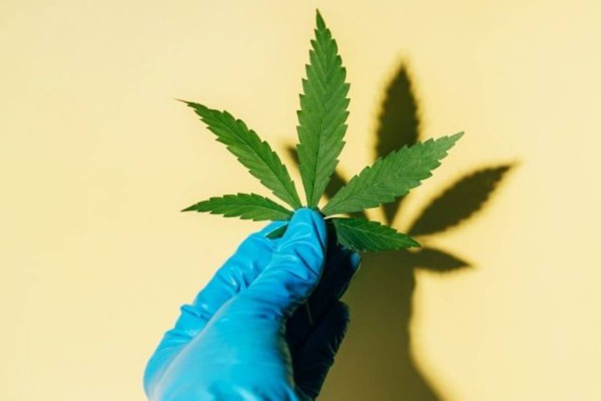 tecnico-de-enfermagem-e-preso-por-vender-maconha-por-r$-10-a-cliente