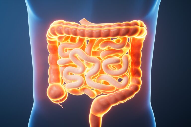 Nutri lista os perigos para a saúde de manter intestino inflamado