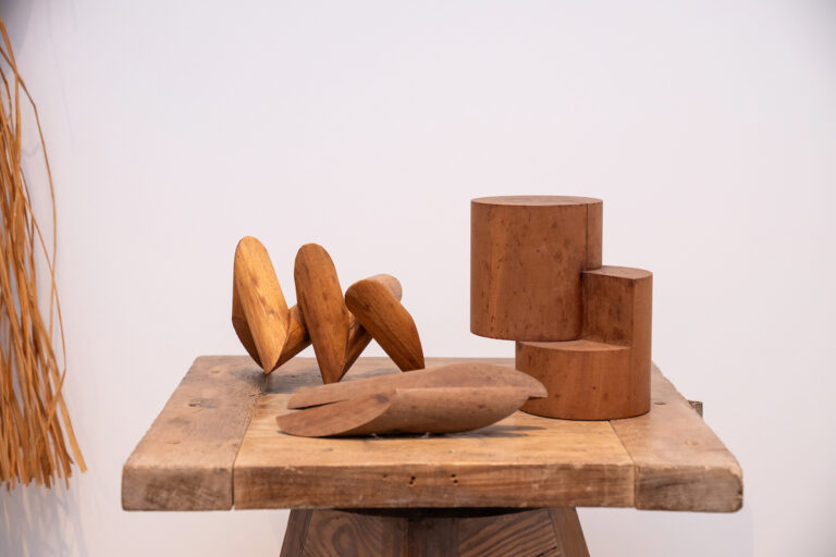 Sergio Camargo: mostra é acessível e atrativa a todos os públicos