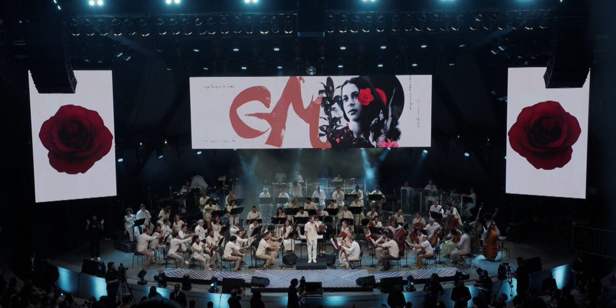 tv-brasil-exibe-show-em-homenagem-a-gal-costa-neste-sabado