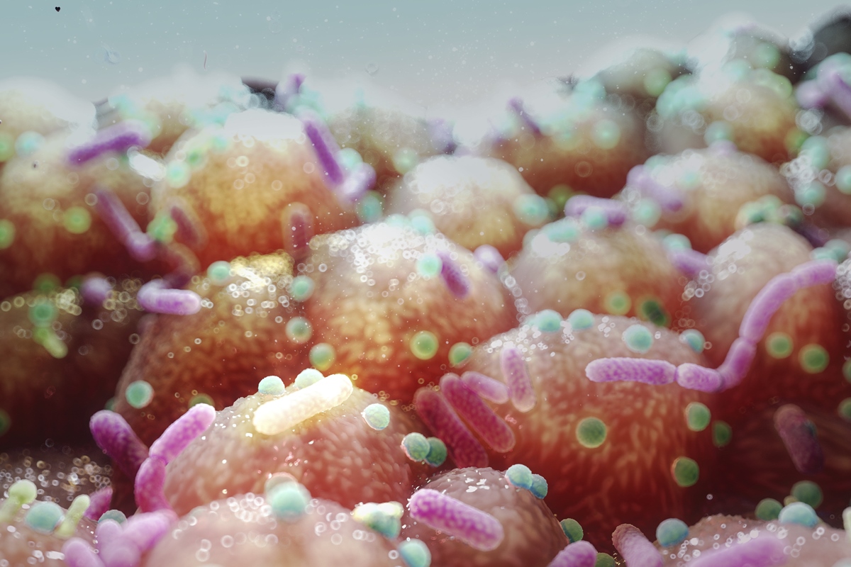 microbacteria-intestinal-pode-bloquear-ganho-de-peso,-sugere-estudo