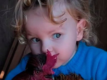 o-segredo-por-tras-dos-videos-que-viralizam-no-brasil