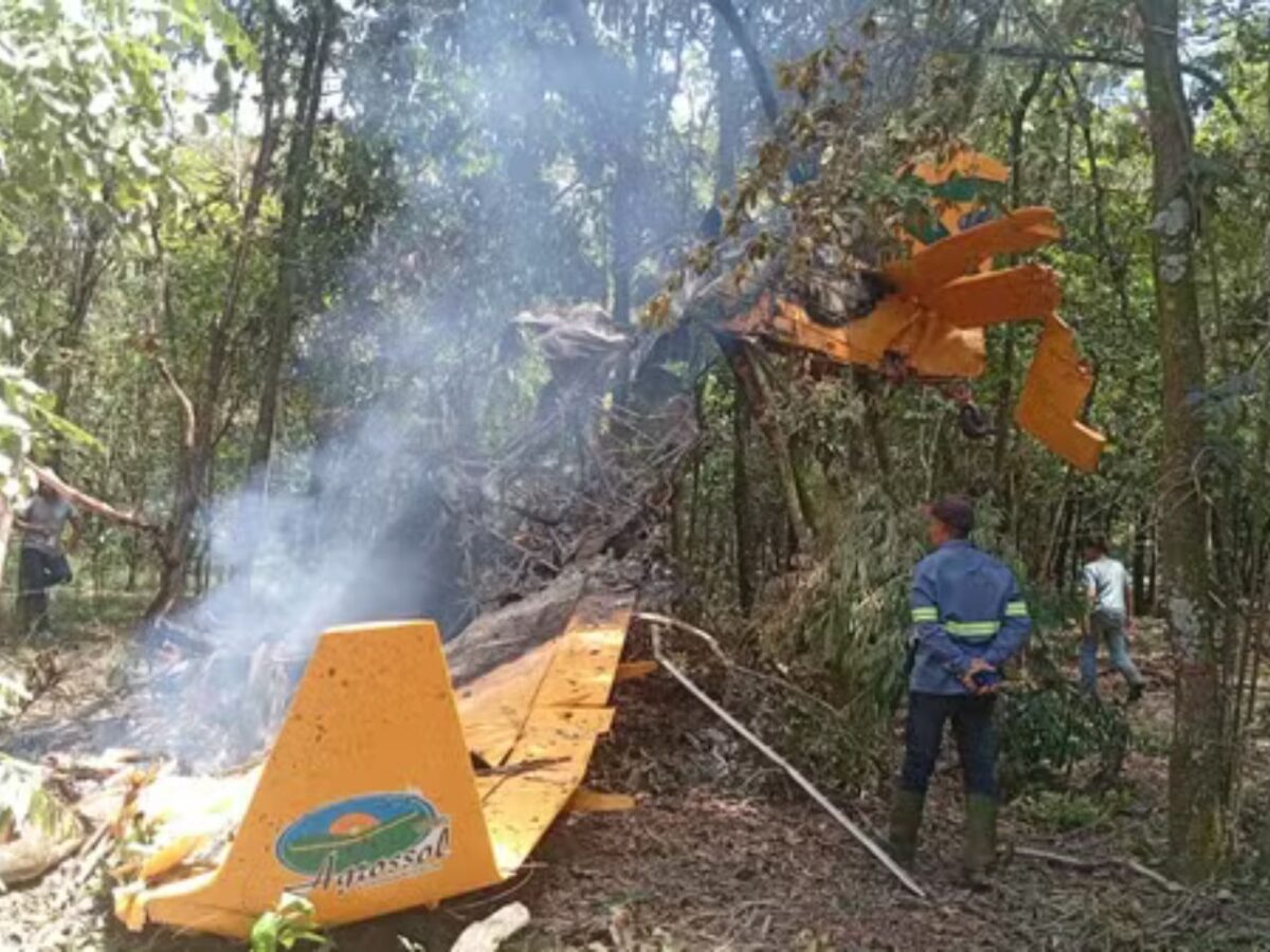aviao-cai-em-plantacao-no-interior-de-sp;-video