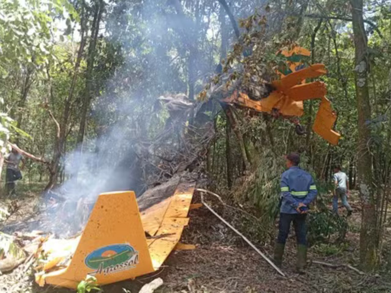 Avião cai em plantação no interior de SP; vídeo