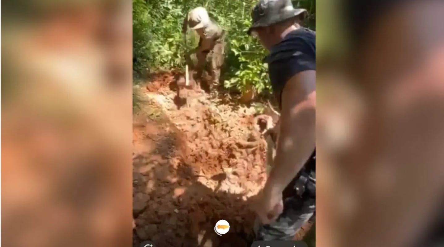 corpos-sao-encontrados-em-mata-e-revelam-cemiterio-clandestino-em-sc