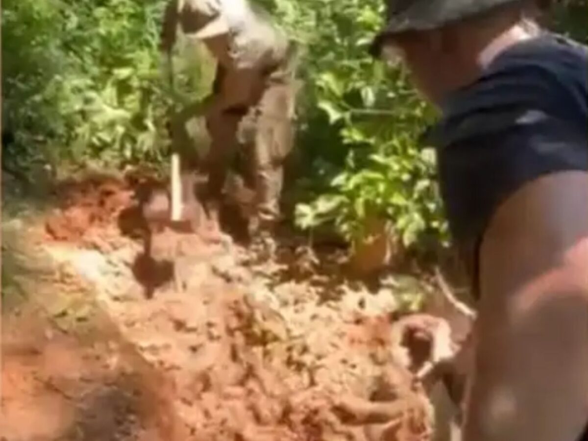 policia-militar-encontra-corpos-na-mata-e-descobre-cemiterio-clandestino-em-sc