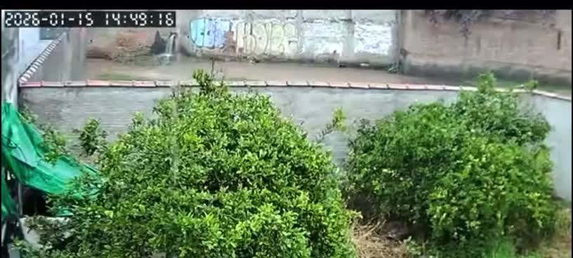 video:-crianca-e-arrastada-por-enxurrada-durante-temporal-em-minas-gerais