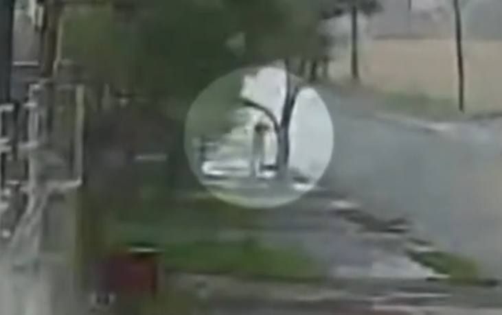jovem-se-agarra-a-arvore-para-nao-ser-levada-por-tornado;-veja-video