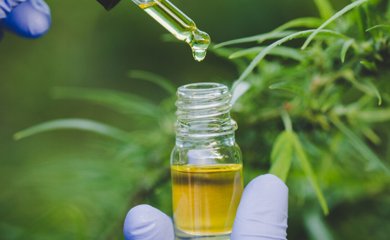 anvisa-apresenta-proposta-para-regulamentar-o-cultivo-de-cannabis-medicinal-no-brasil