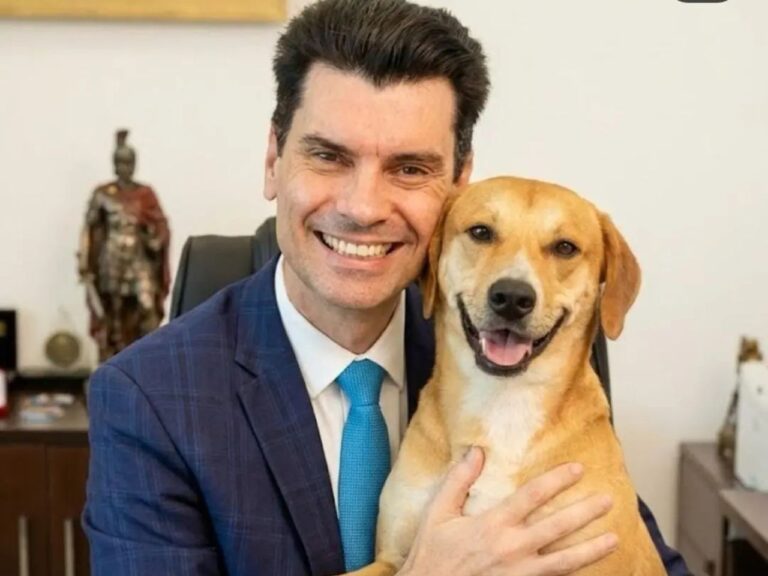 Após adotar cão agredido junto com ‘Orelha’, delegado publica vídeo emocionante; veja